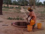 Le chant de la femme baobab