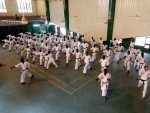 Pratique des arts martiaux : Des clubs du Karaté-Do-Shotokan en stage de perfectionnement